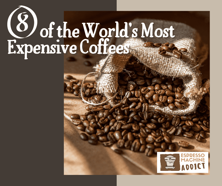 8 of the World’s Most Costly Coffees 8 of the World’s Most Costly Coffees