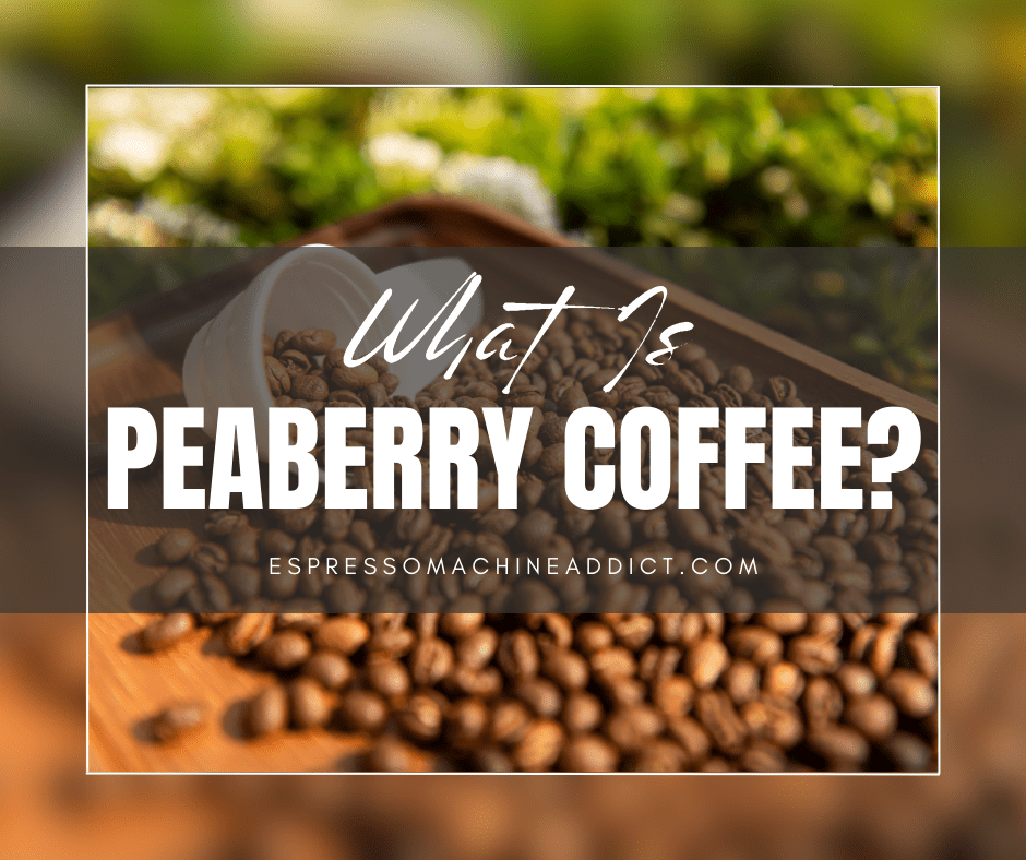 What’s Peaberry Espresso? – Espresso Machine Addict
