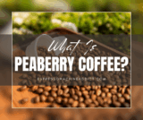 What’s Peaberry Espresso? – Espresso Machine Addict